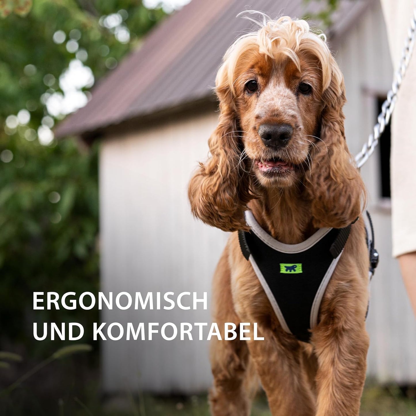 Ergocomfort P belts M gray, Silver Halsumfang: 37-47 cm/ Brustumfang: 55-65 cm