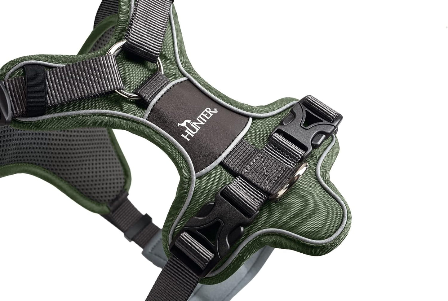 Geschirr Divo, 79 - 107 cm grün/grau