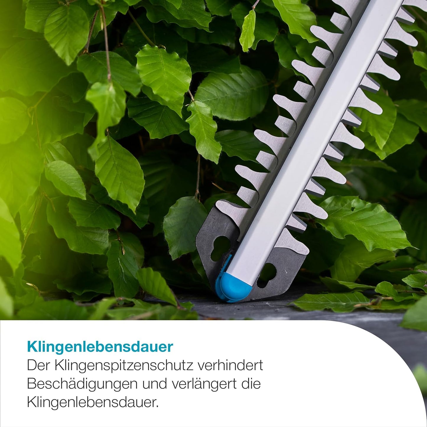 Akku-Heckenschere EasyCut, mit Akku