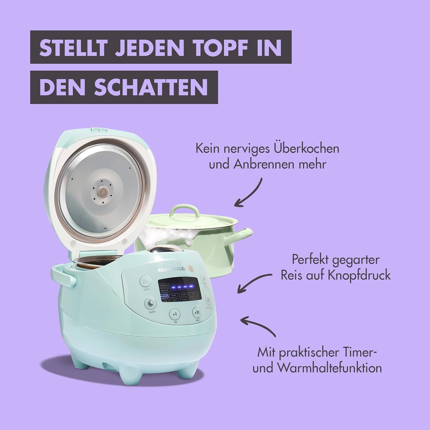11-teiliges Reiskocher-Starterset, Starterset mint