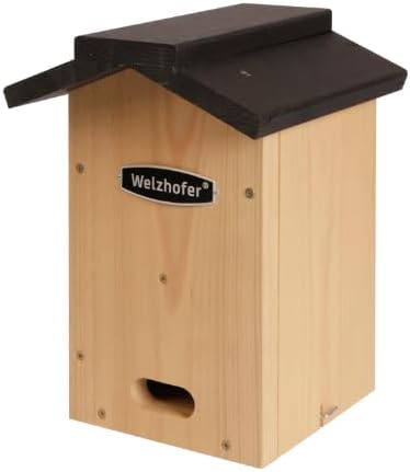 Fledermauskasten Jessi