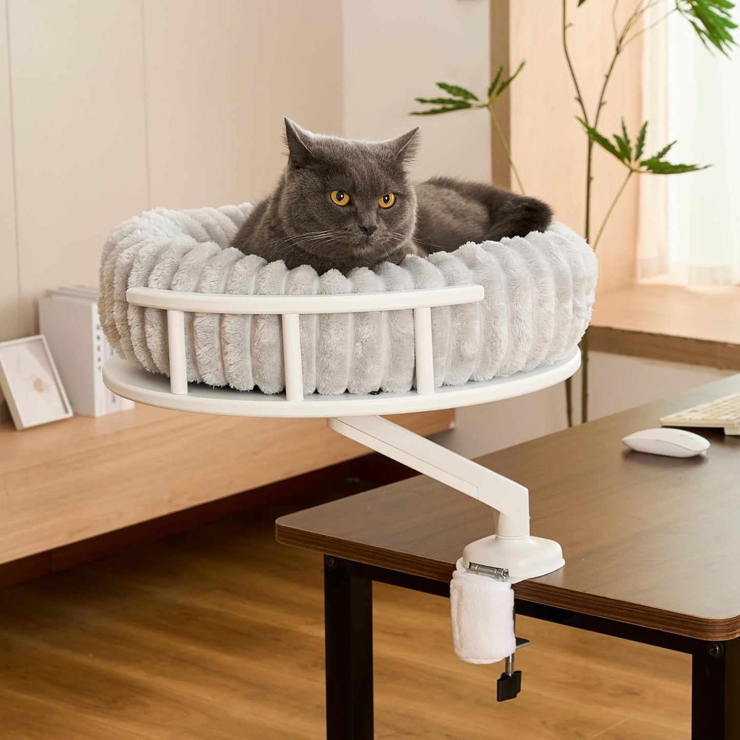 Katzenbett Schreibtischplattform mit 2 Betten, Weiß