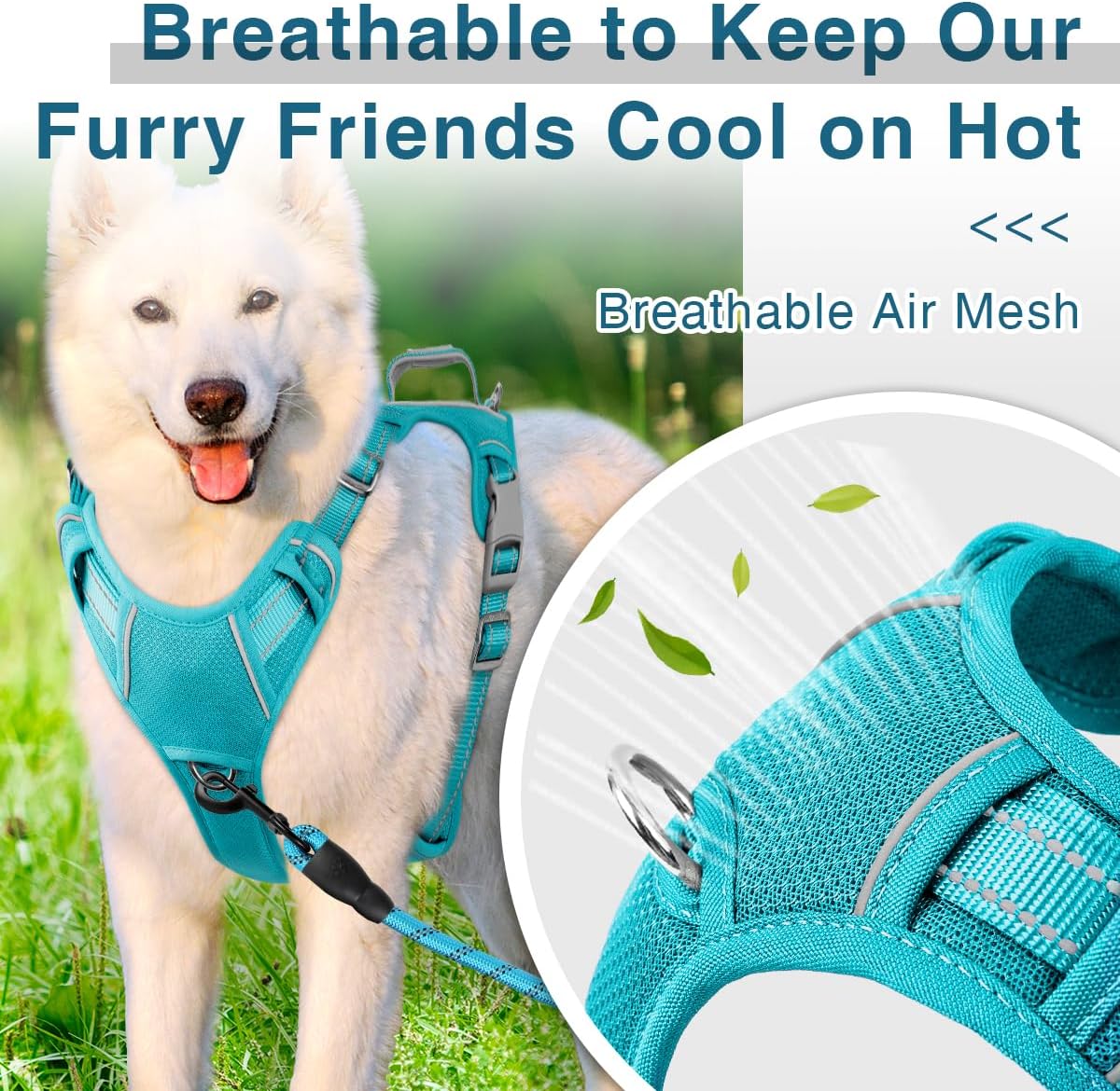Hundegeschirr, Medium(Chest:22-27") Blau