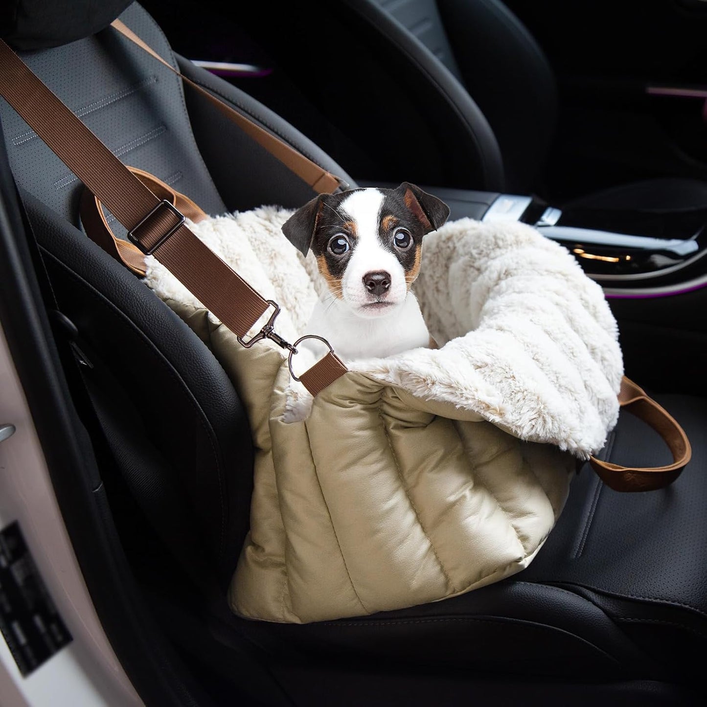 Rutschfester 3-in-1 Autositz & Tragetasche für kleine Hunde