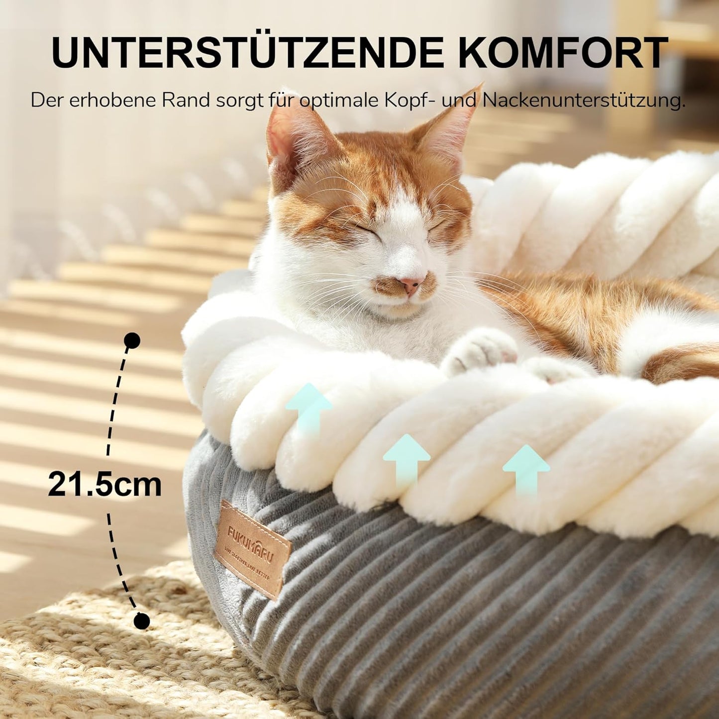Waschbares Katzenbett mit erhöhtem Rand, rutschfest, L 55 x B 55 x H 21 cm Grau