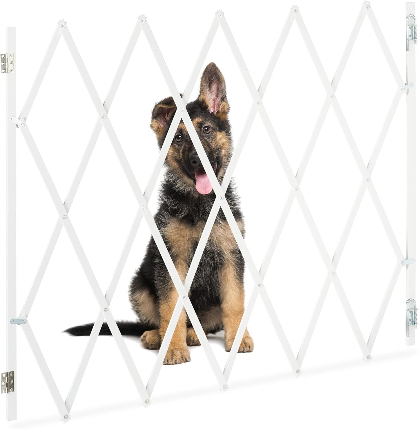 Hundeabsperrgitter, XL