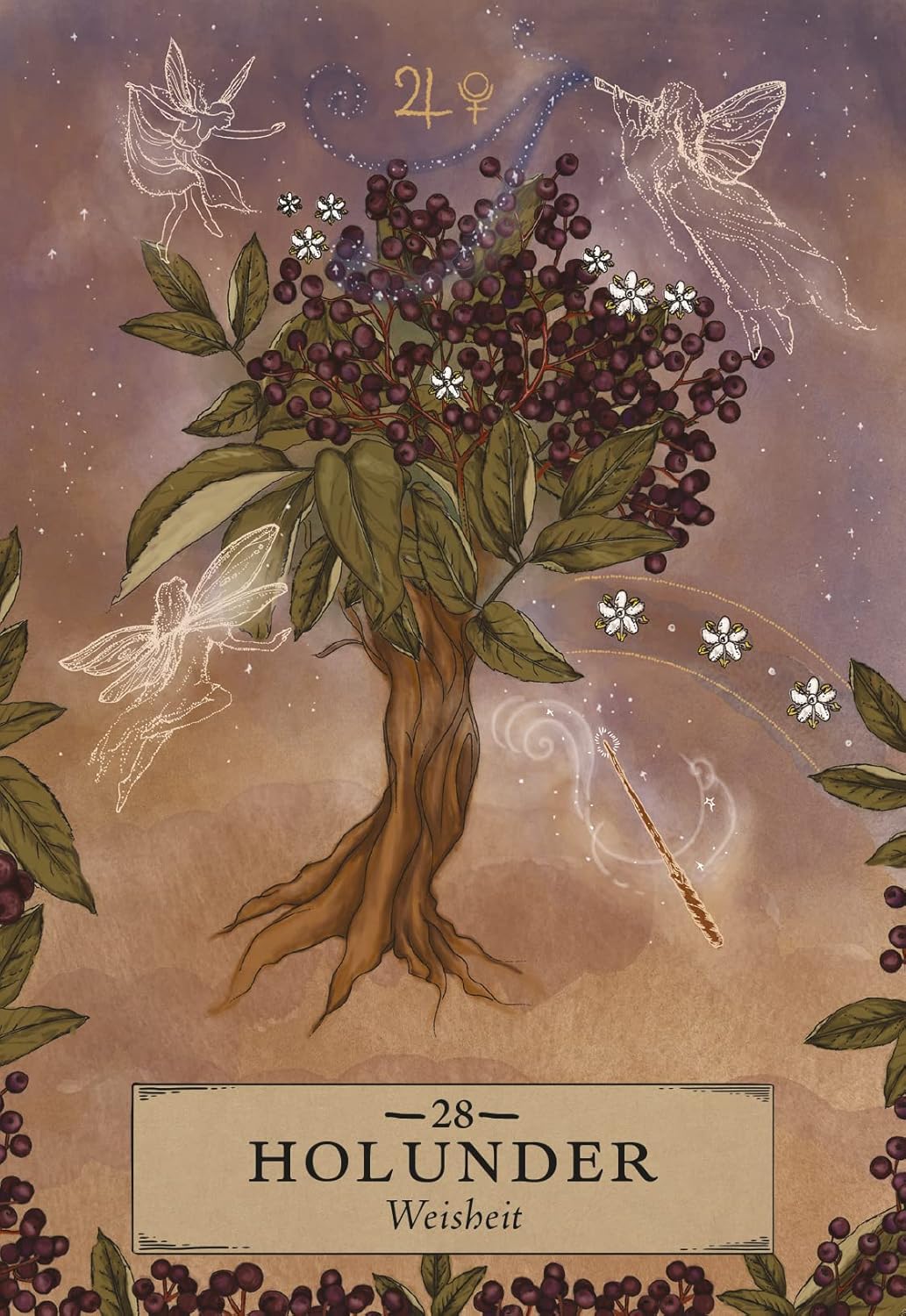 Orakelkarten-Set Herbal Astrology, Gebundenes Buch