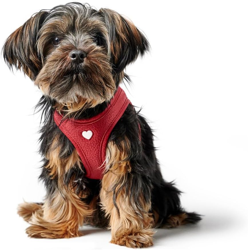 Hundegeschirr Love, atmungsaktiv, verstellbar, XXS-XS, rot