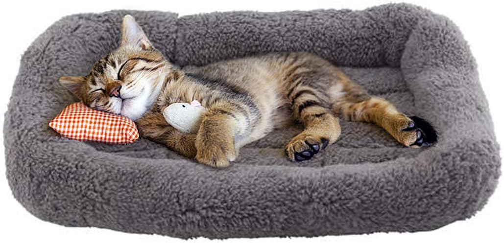 Katzenbett, L 38 x B 26 x H 5 cm