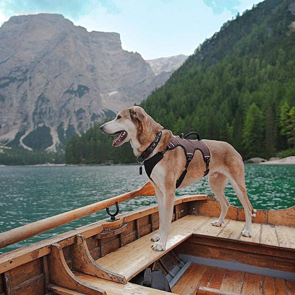 Hundegeschirr Ergotrekking, Braun Medium