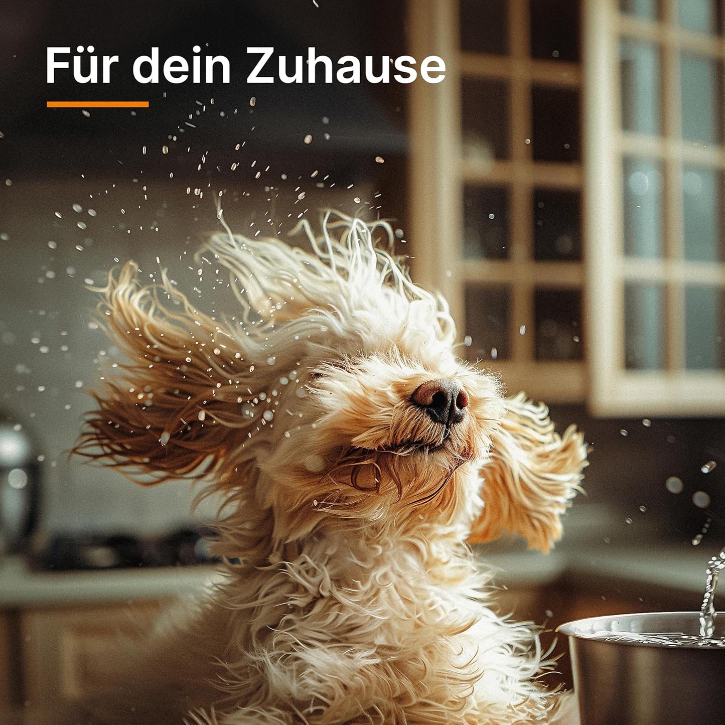 Pet & Friends Zyklonstaubsauger für Tierhaare, Weiss/Orange