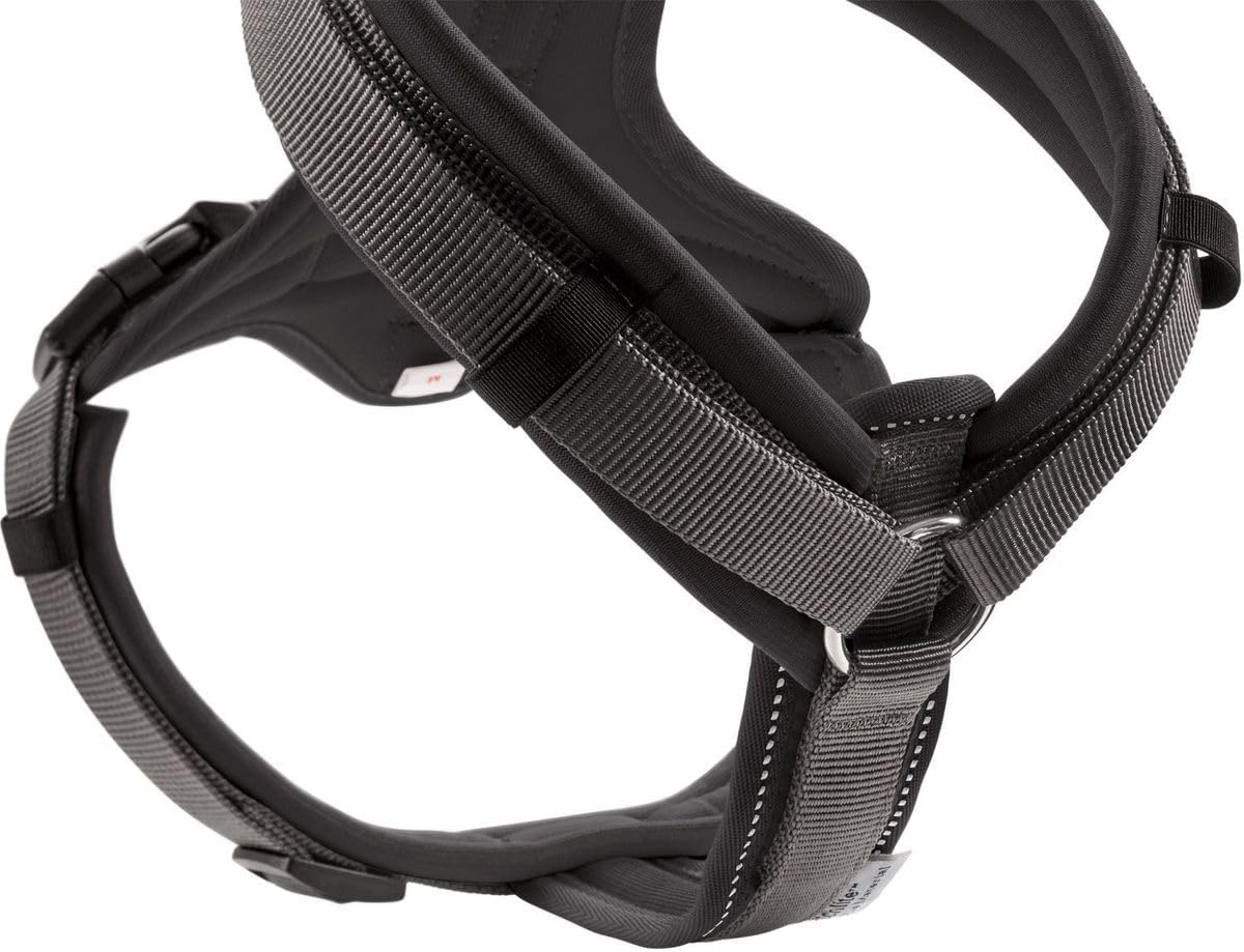 Verstellbares Hundegeschirr Maldon, schwarz / grau xs
