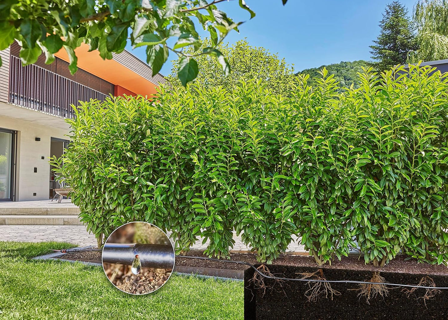 Micro-Drip Tropfbewässerungs-Set Hecke/Sträucher (25 m)