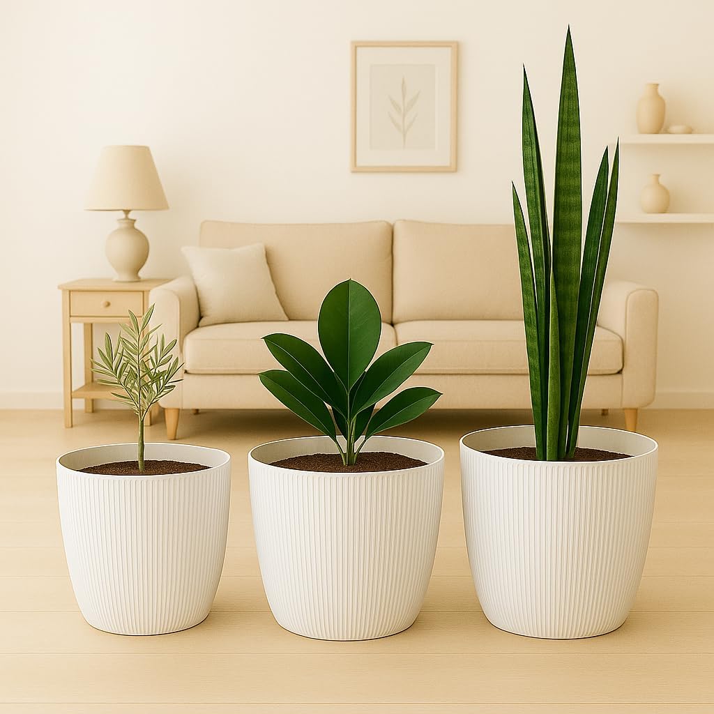 Blumentopf-Set, Ø 18 cm (7.08 inch) Cremig
