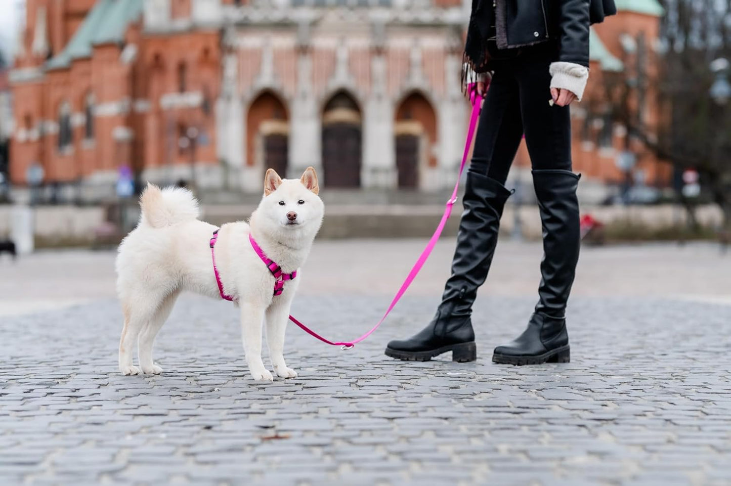 Guard - Ausbruchssicheres Hundegeschirr, M, Rosa