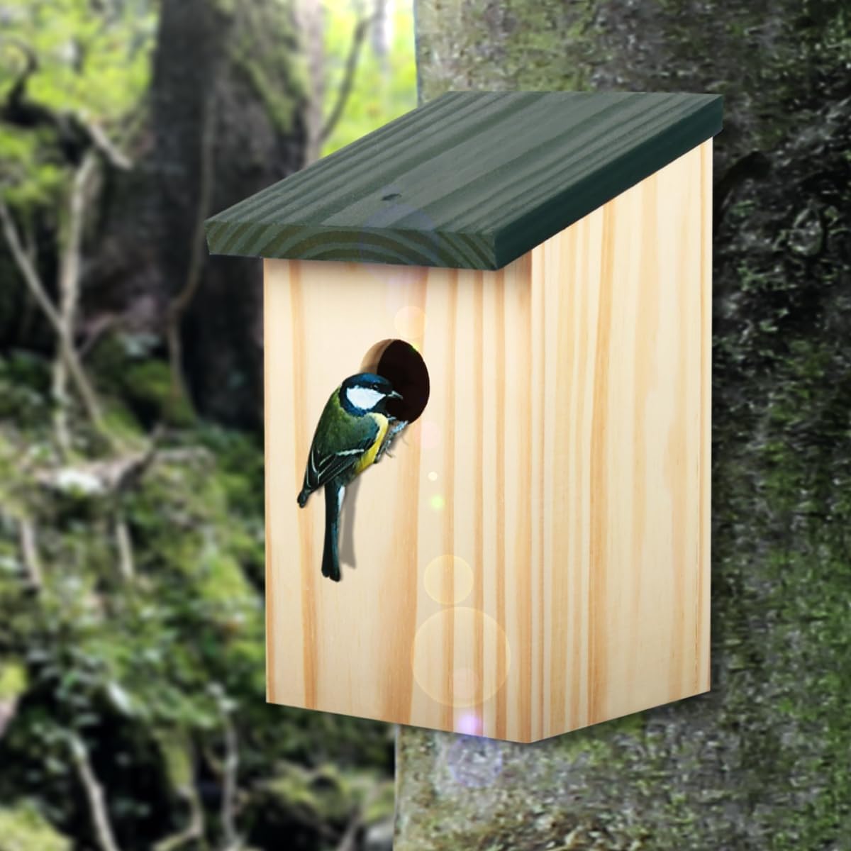 4er-Set Nistkasten aus Massivholz für kleine Vögel