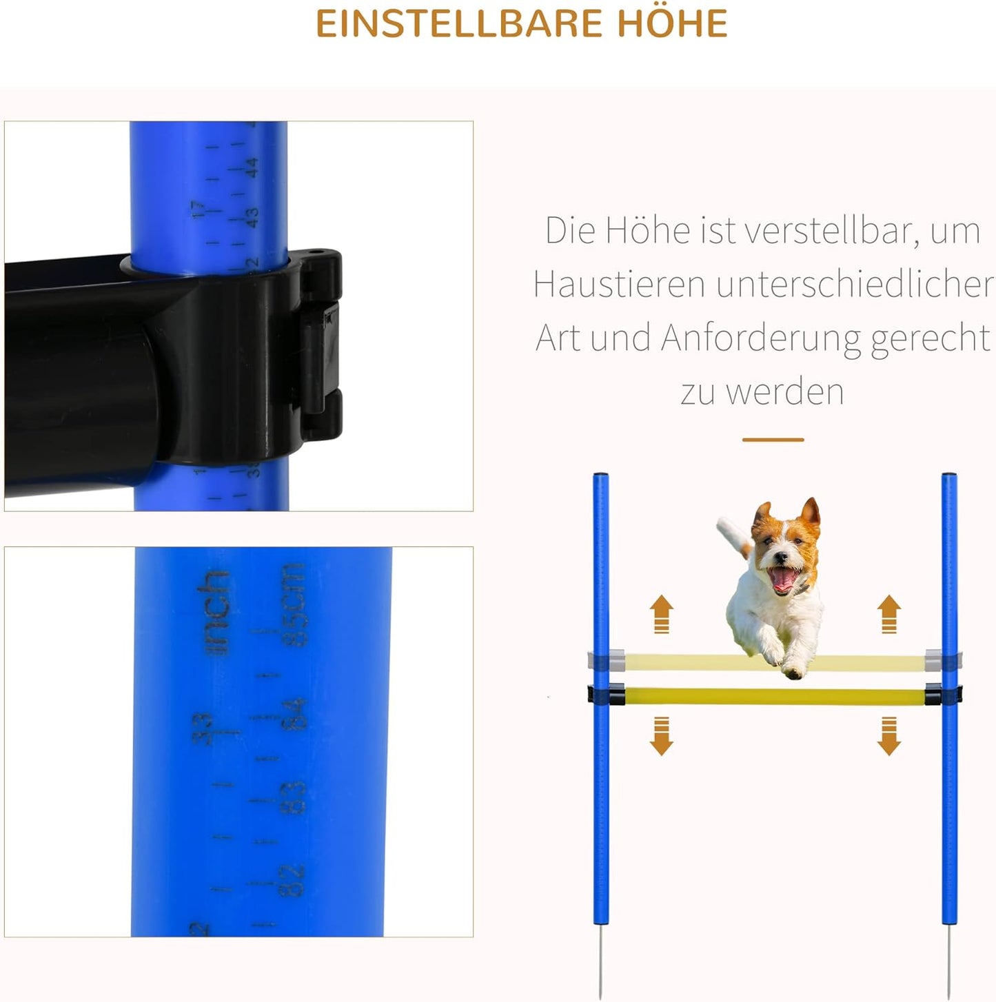 Agility Trainings-Set