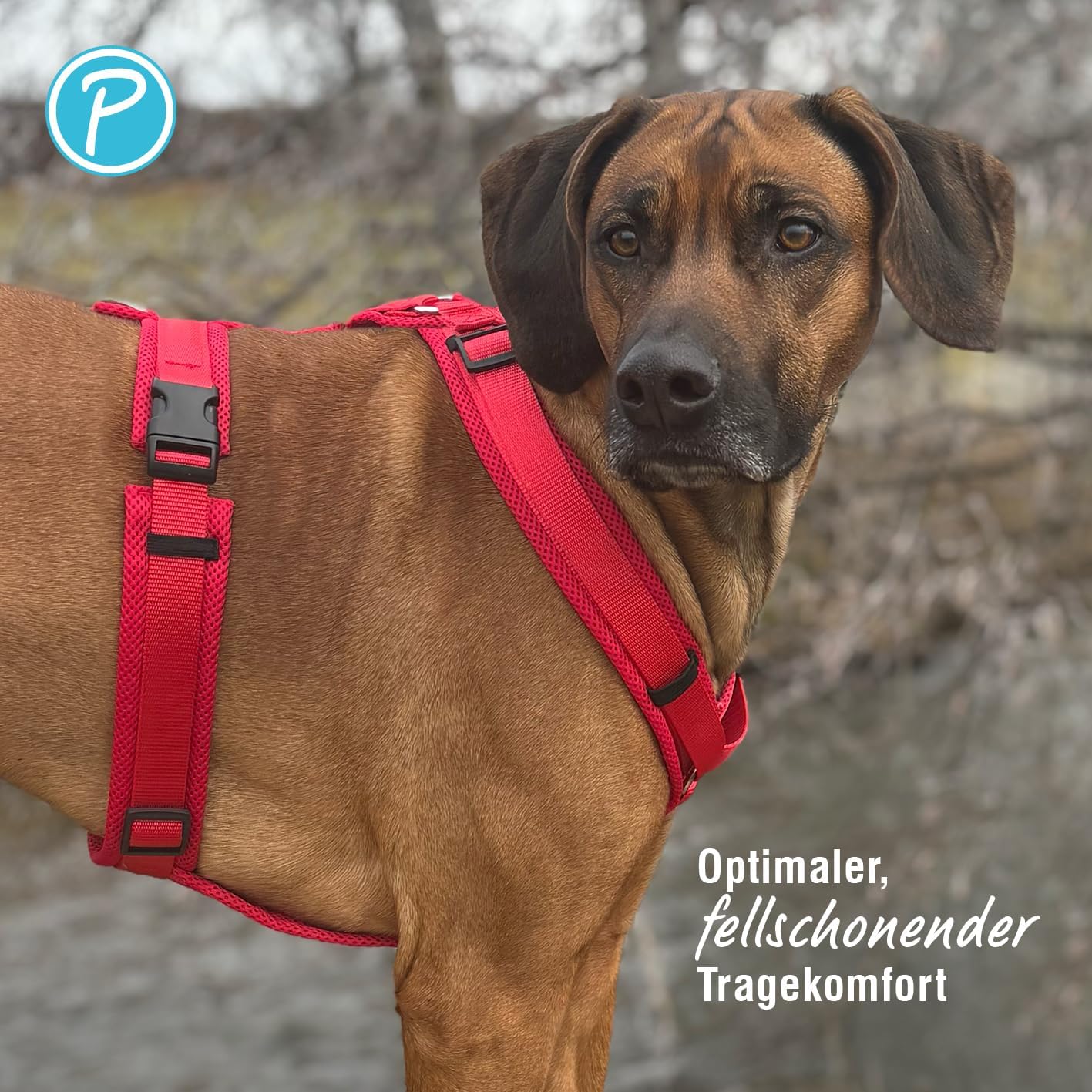 Gepolstertes Hundegeschirr Y-Comfort, Rot S