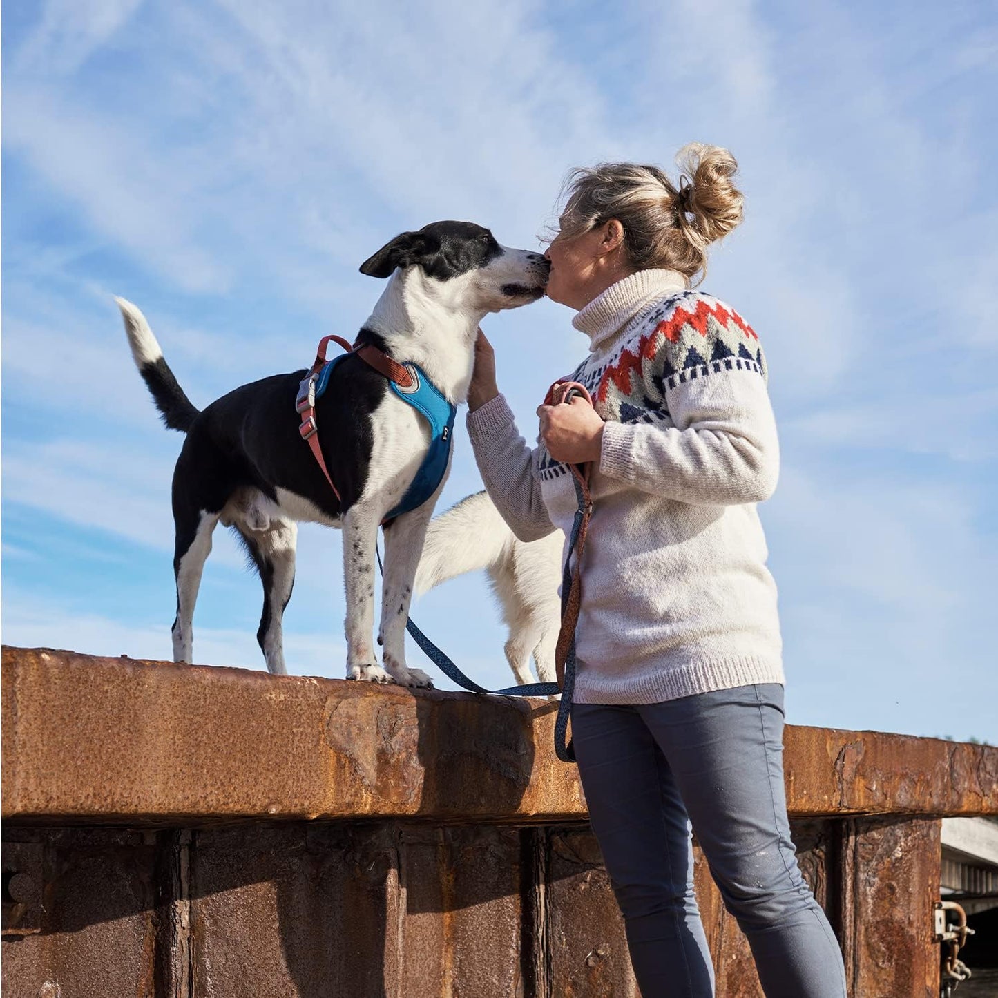 Weekend Warrior ECO Warming Hundegeschirr, 45-60cm Bilberry mix