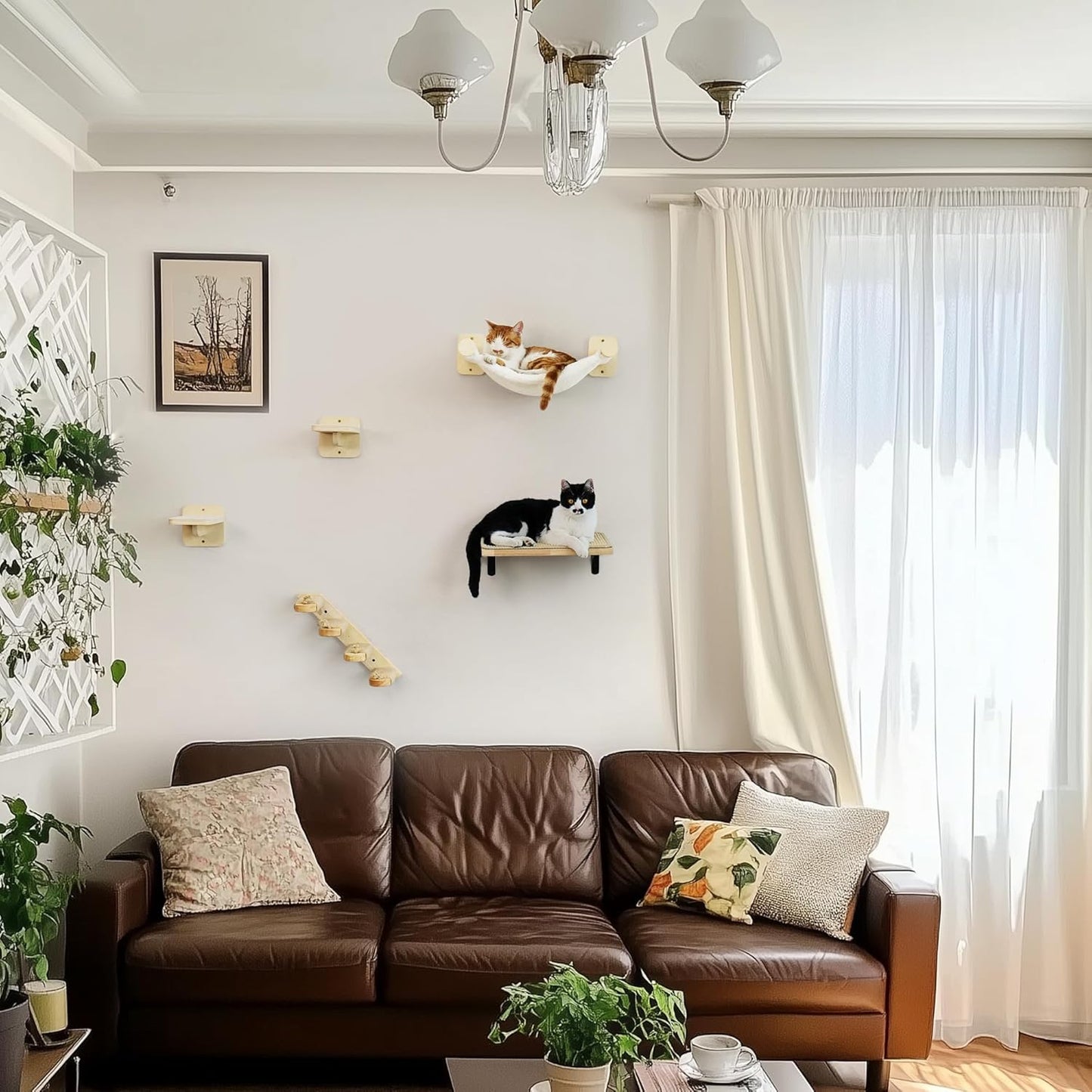 Kletterwand-Set für Katzen mit Hängematte und Treppen, kletterwand Set