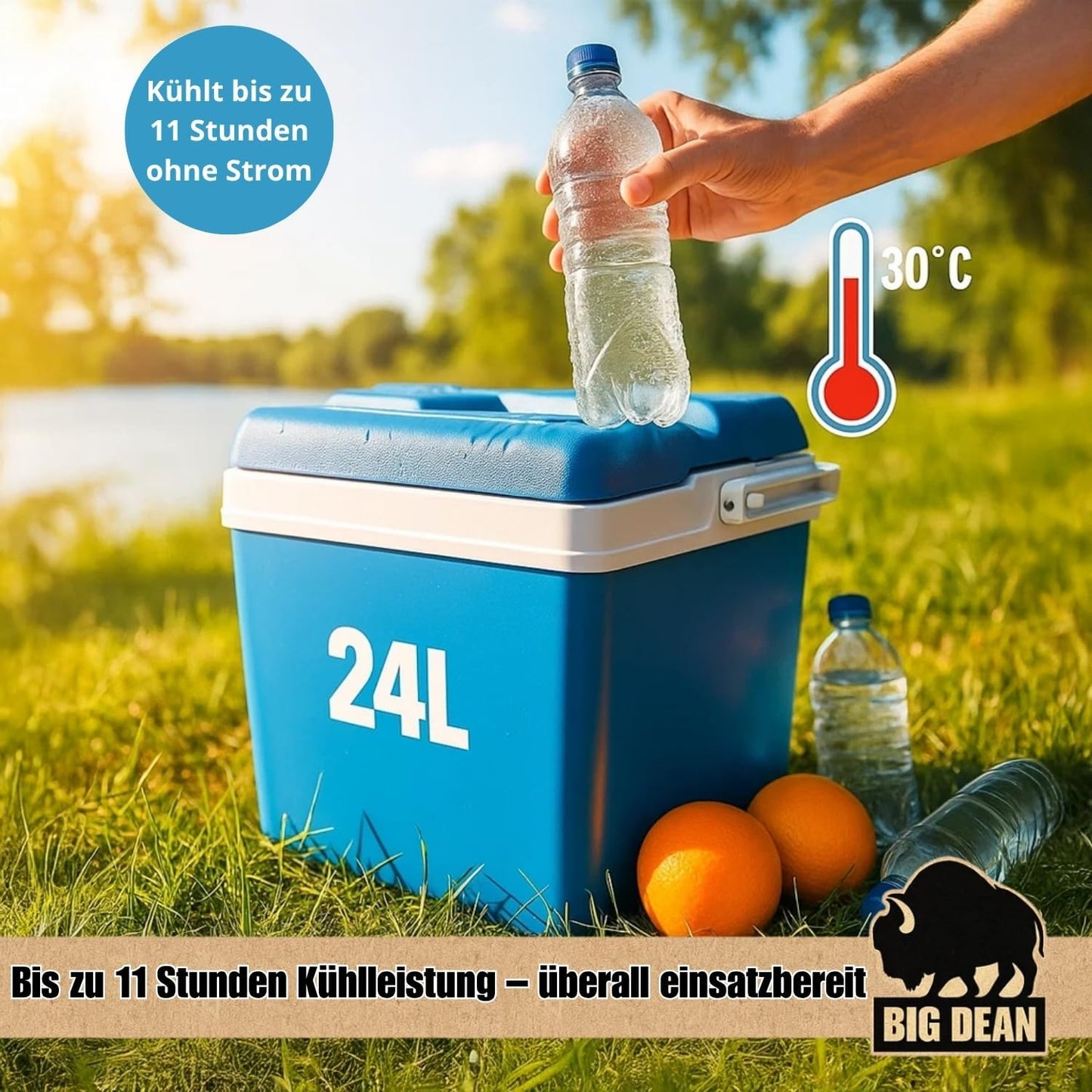 Kühlbox mit 12 Kühlakkus