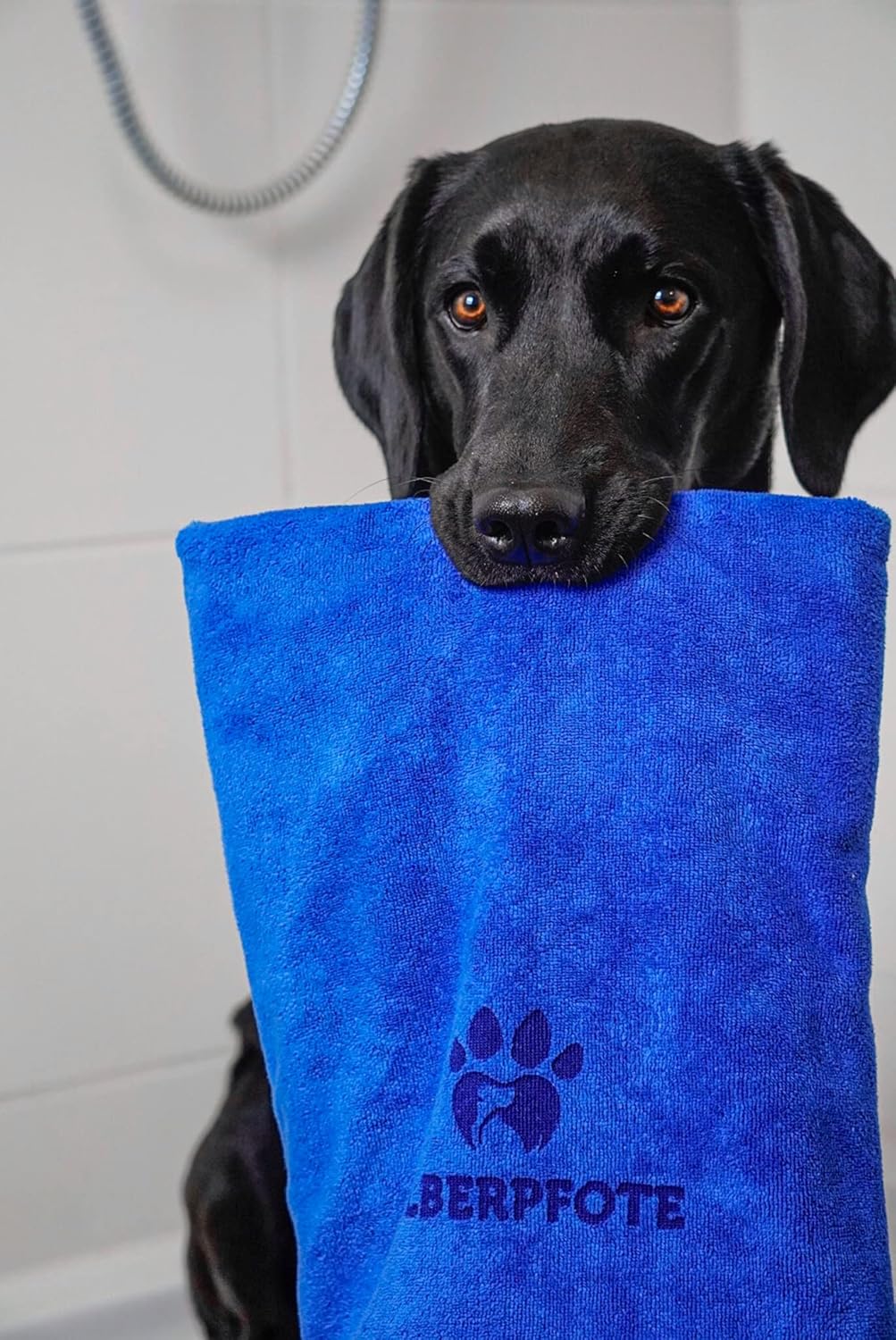 Hundehandtuch