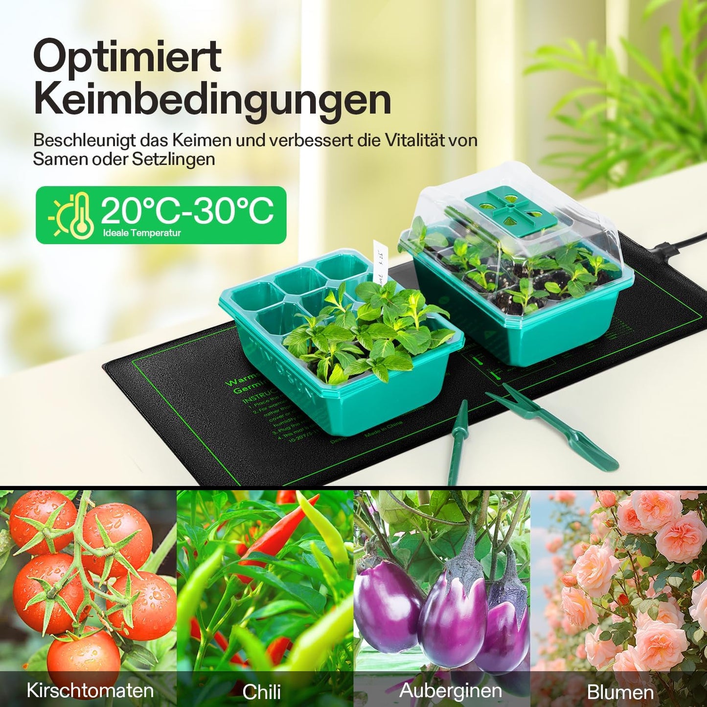 Heizmatte mit Digitalem Thermostat für Pflanzen, 10"x20" Mit Thermostat