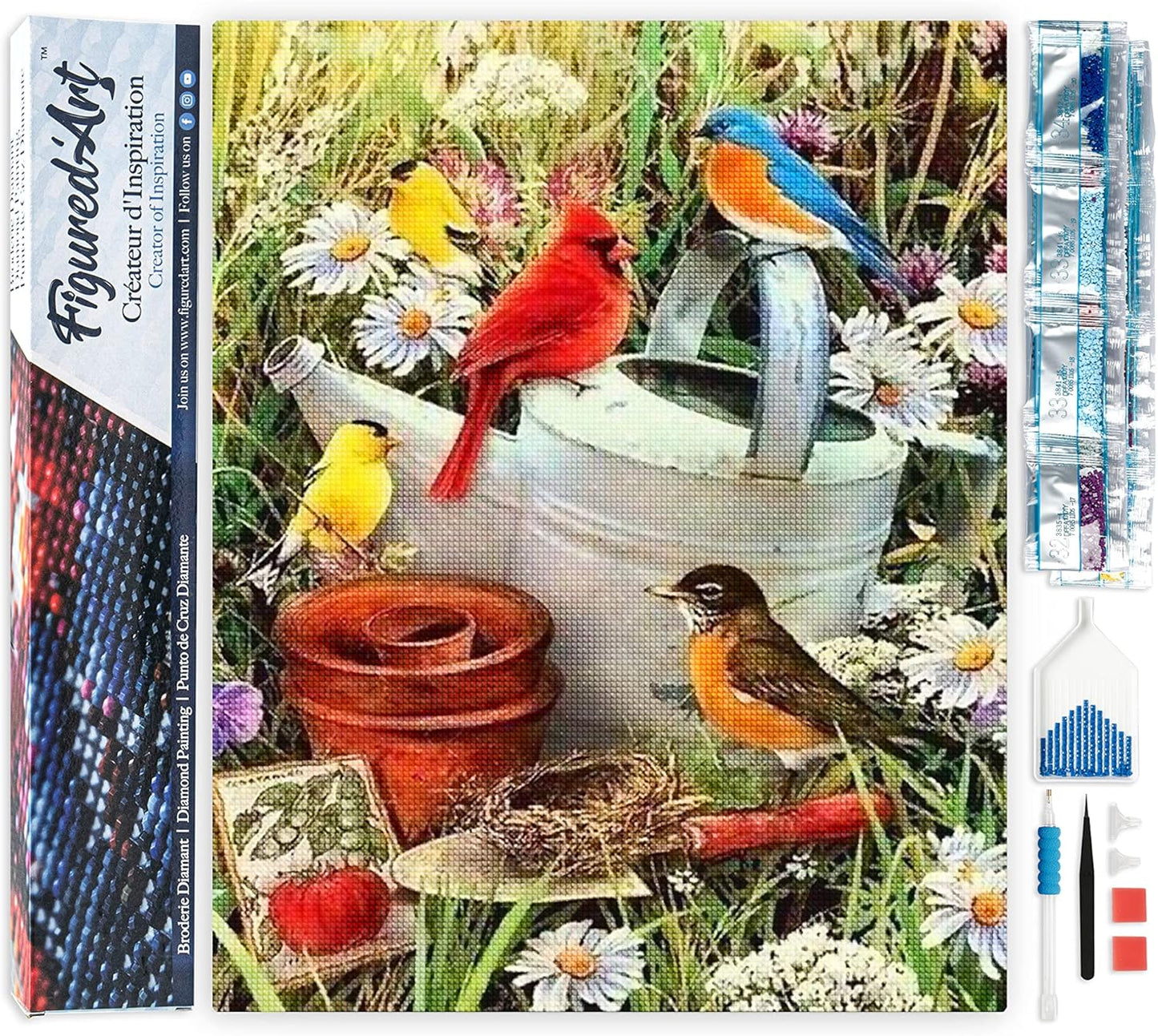 Diamond Painting, 40 x 50 cm, Vögel im Garten 40x50cm (Ohne Rahmen)