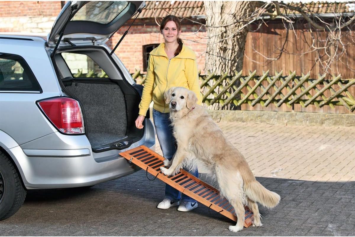 Autohunderampe Car Gangway, bis 50 kg, L: 120 cm B: 30 cm H: 6 cm