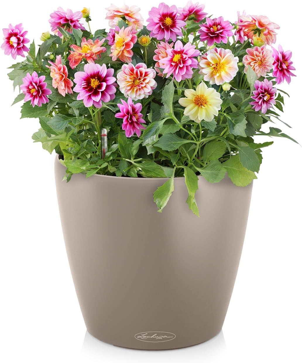 Classico, 43.5x43.5x39.5 cm Sandbraun