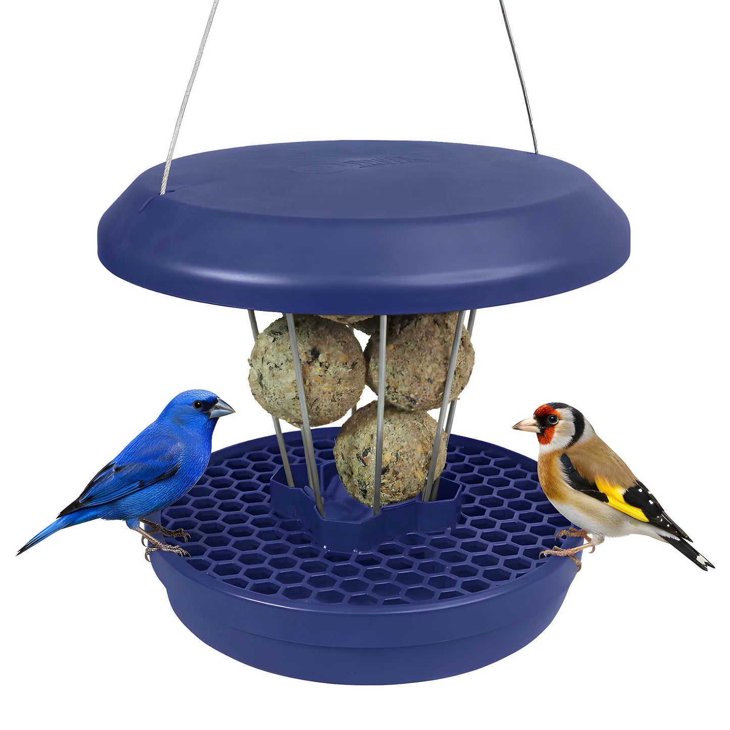Vogel-Futtersilo Lucerne SMART BIRDS, Indigo Lucerne