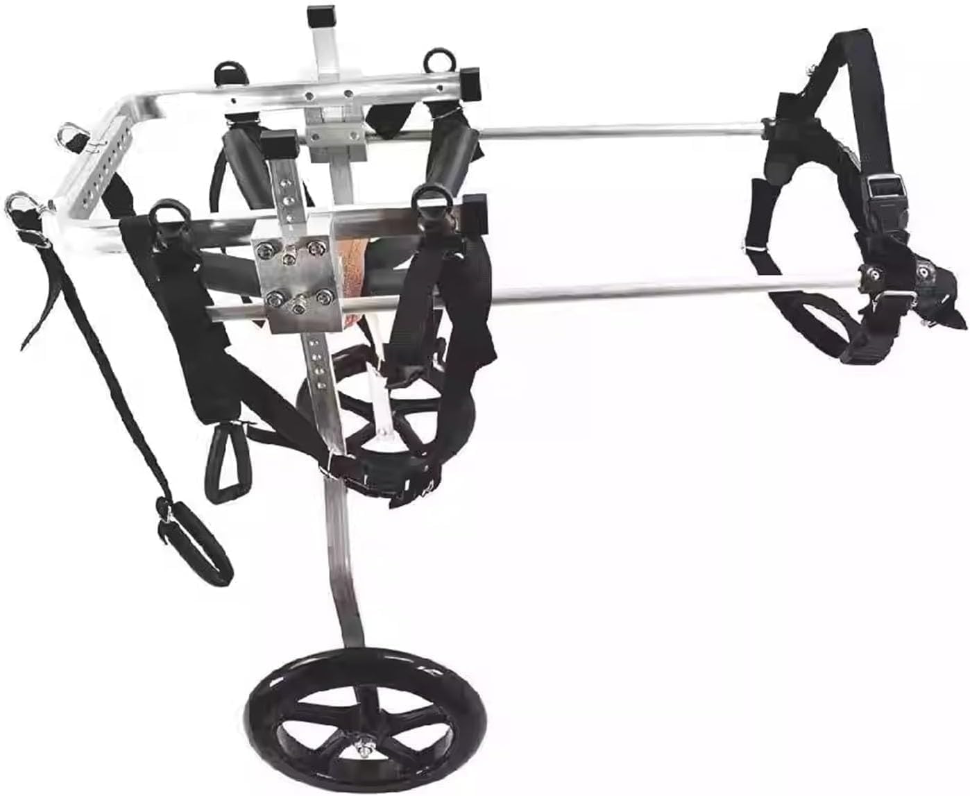 2-Rad Hunderollstuhl für Hinterbeine, L