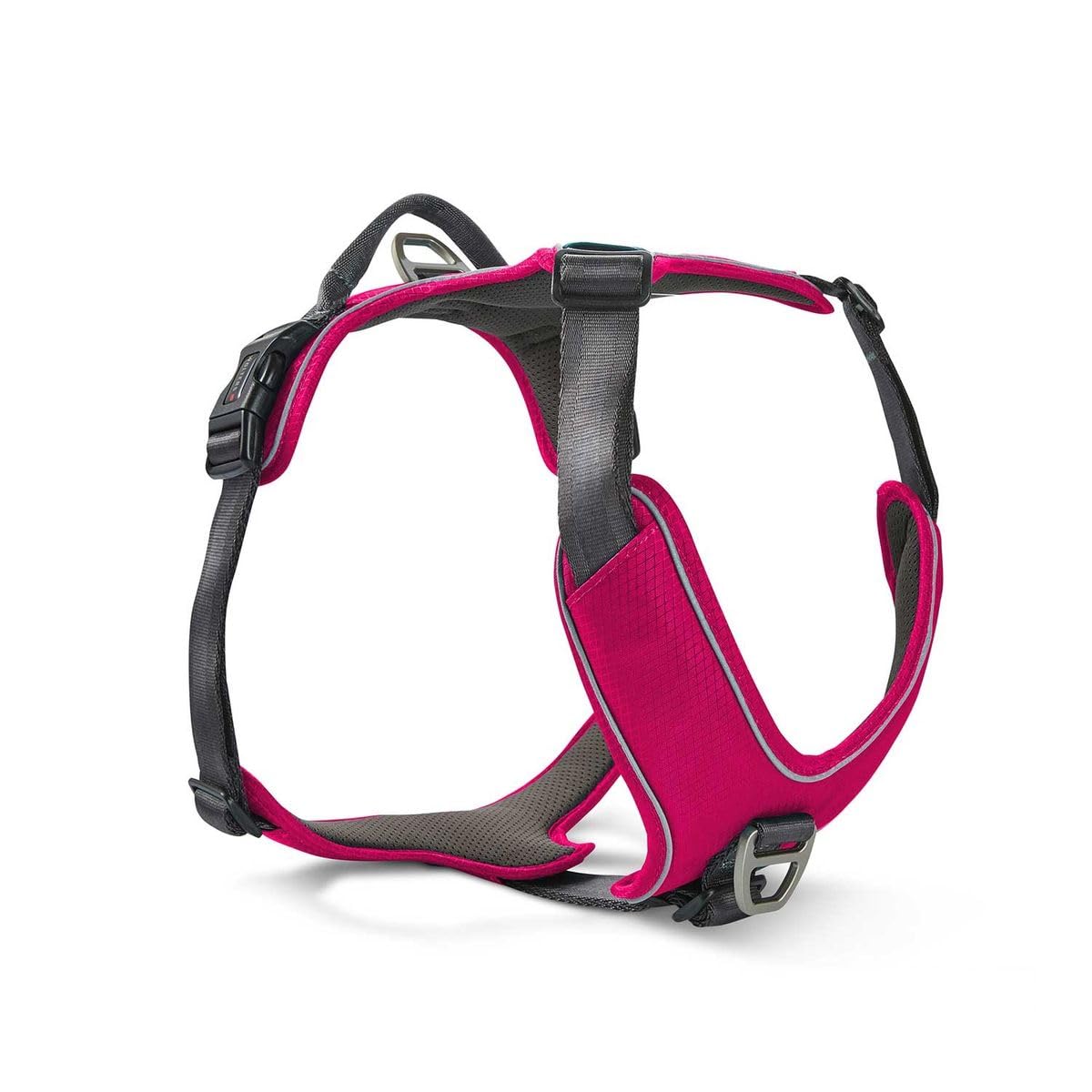 Active Pro Comfort Geschirr, 45 - 52.5 cm magenta/anthrazit