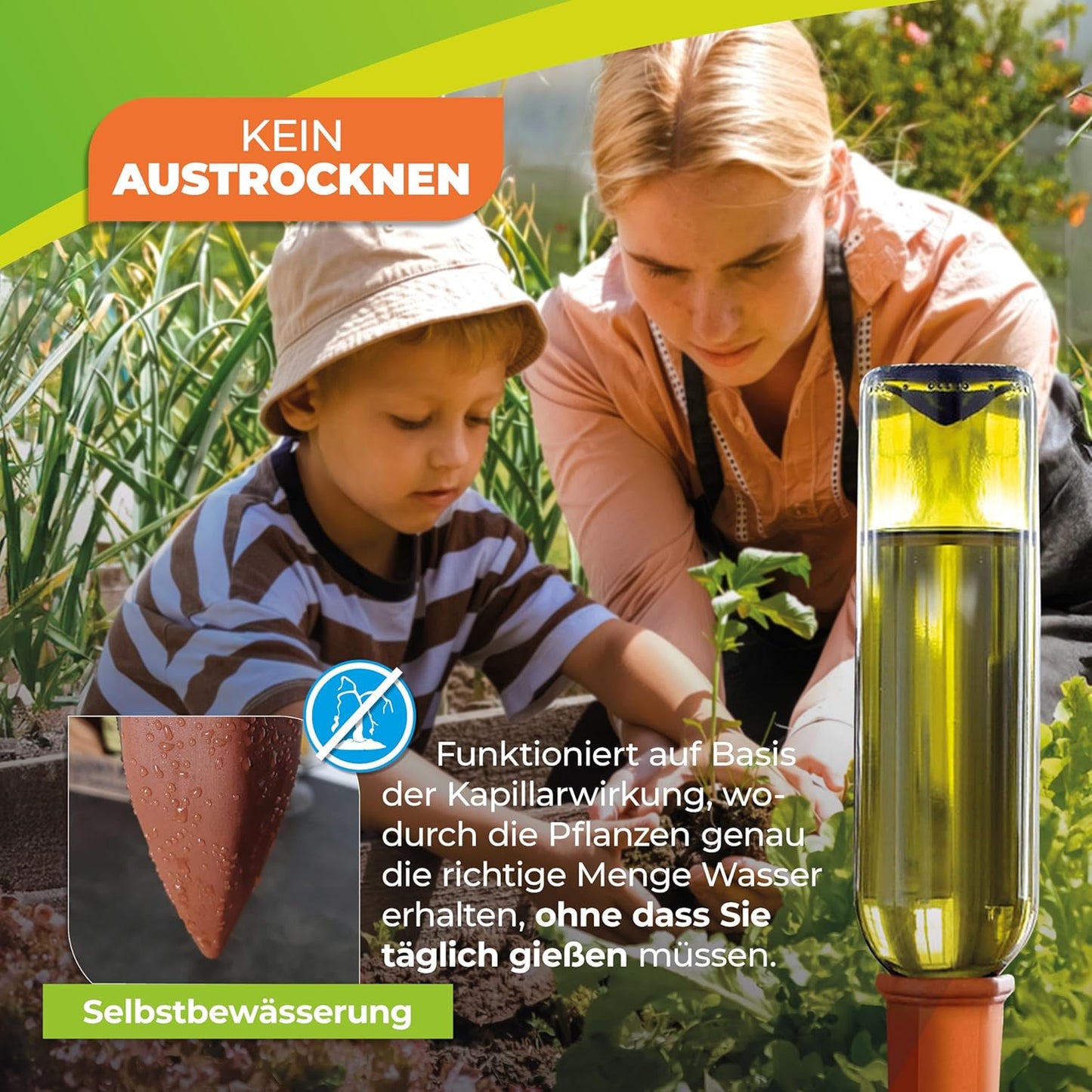 Bewässerungssystem Hydro Wine 12er-Set, 12x Tonkegel