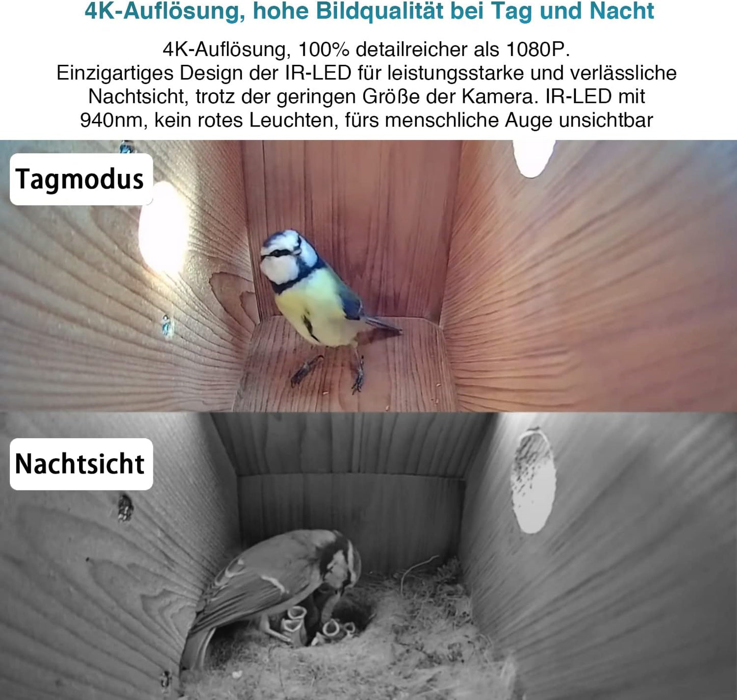 4K Mini WLAN-Kamera für Nistkästen mit Nachtsicht