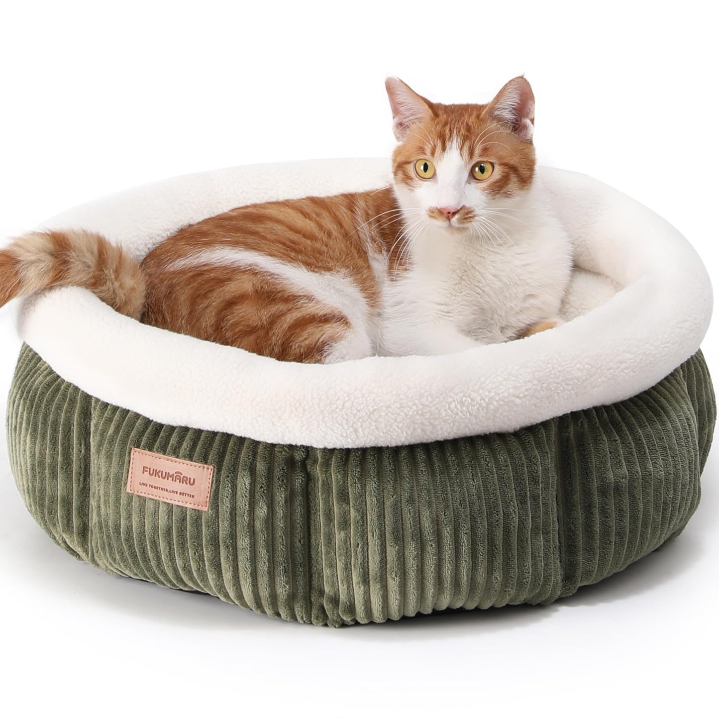 Katzenbett waschbar mit erhöhtem Rand, grün