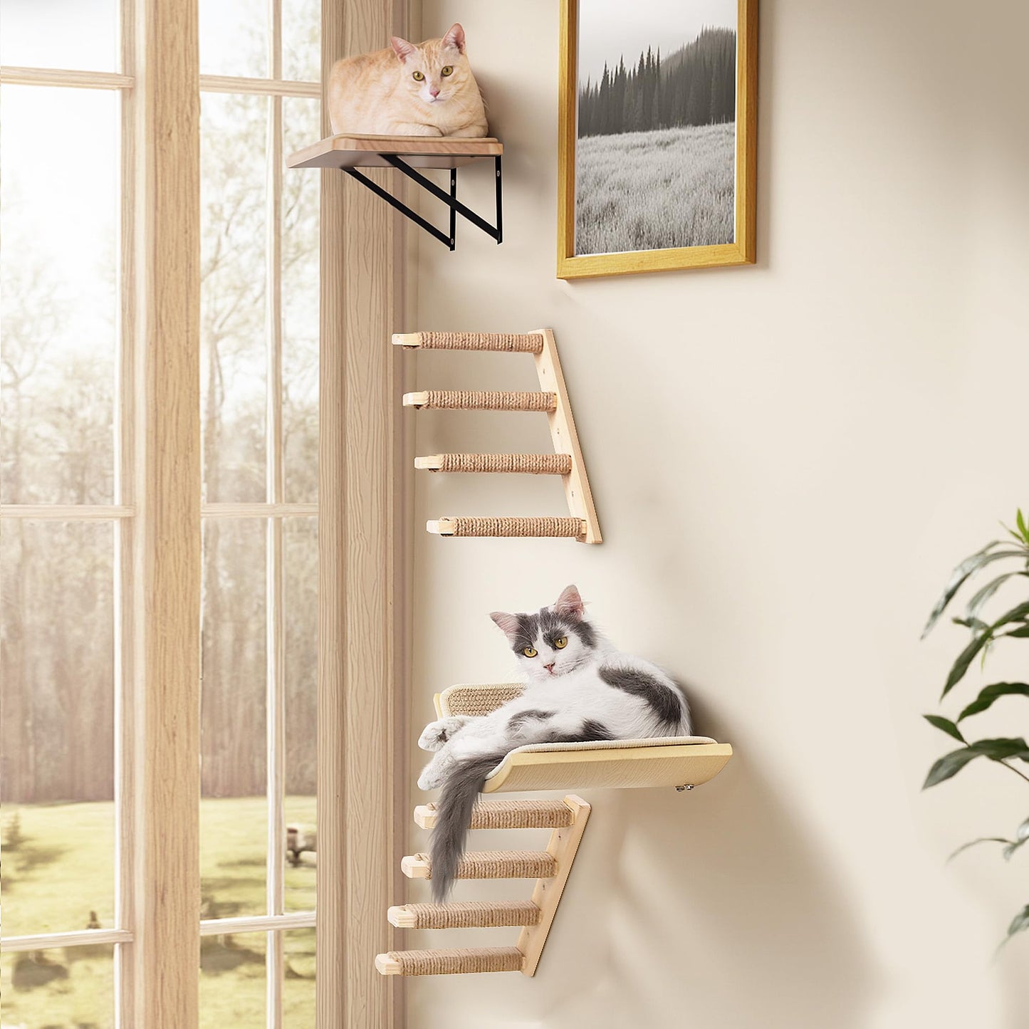 Katzen-Kletterwand Set mit Plattformen und Regalen, Gelb 2PC Vier Stufen + 2PC Katze Wandregal