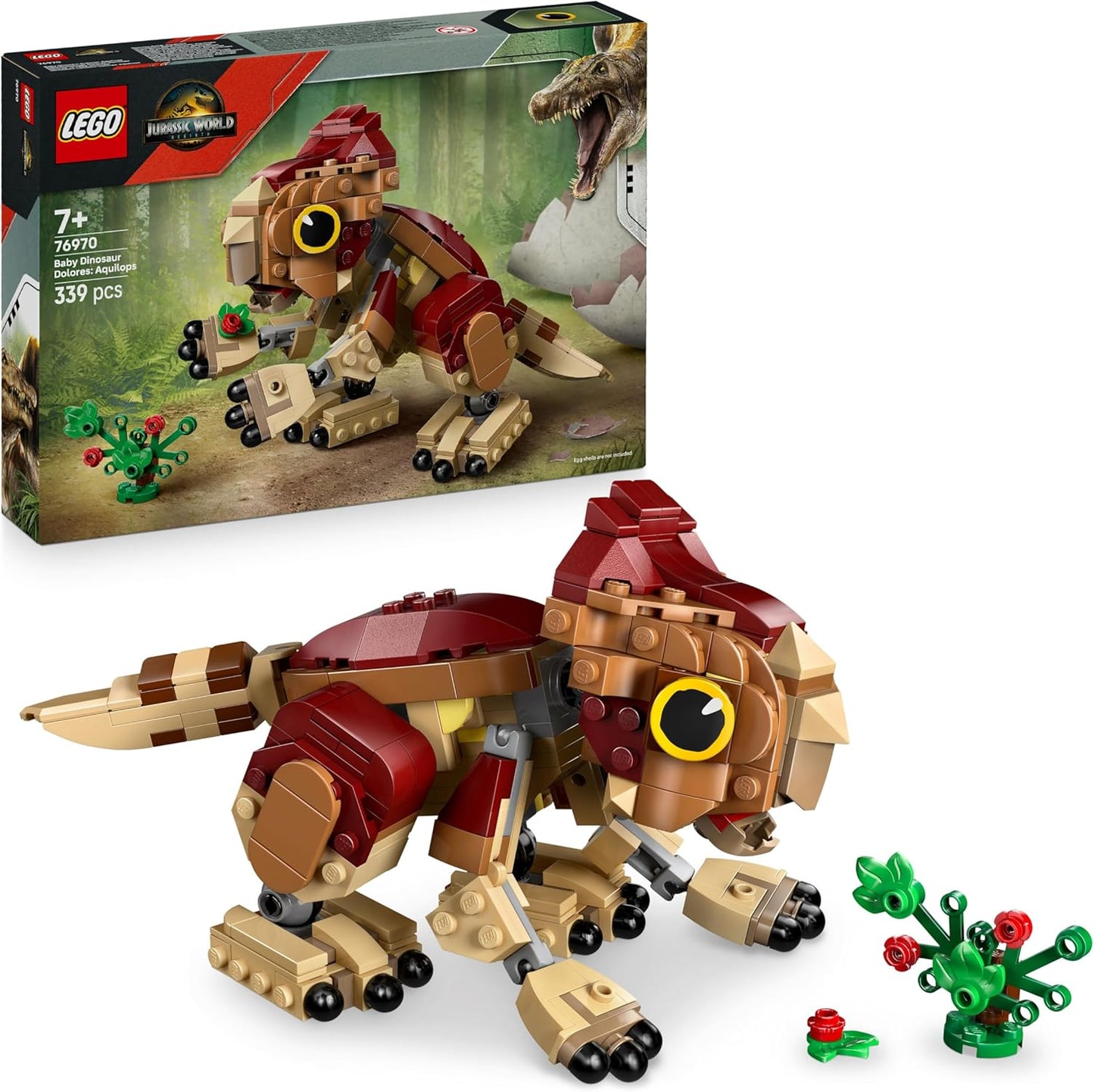 Babydinosaurier Dolores: Aquilops