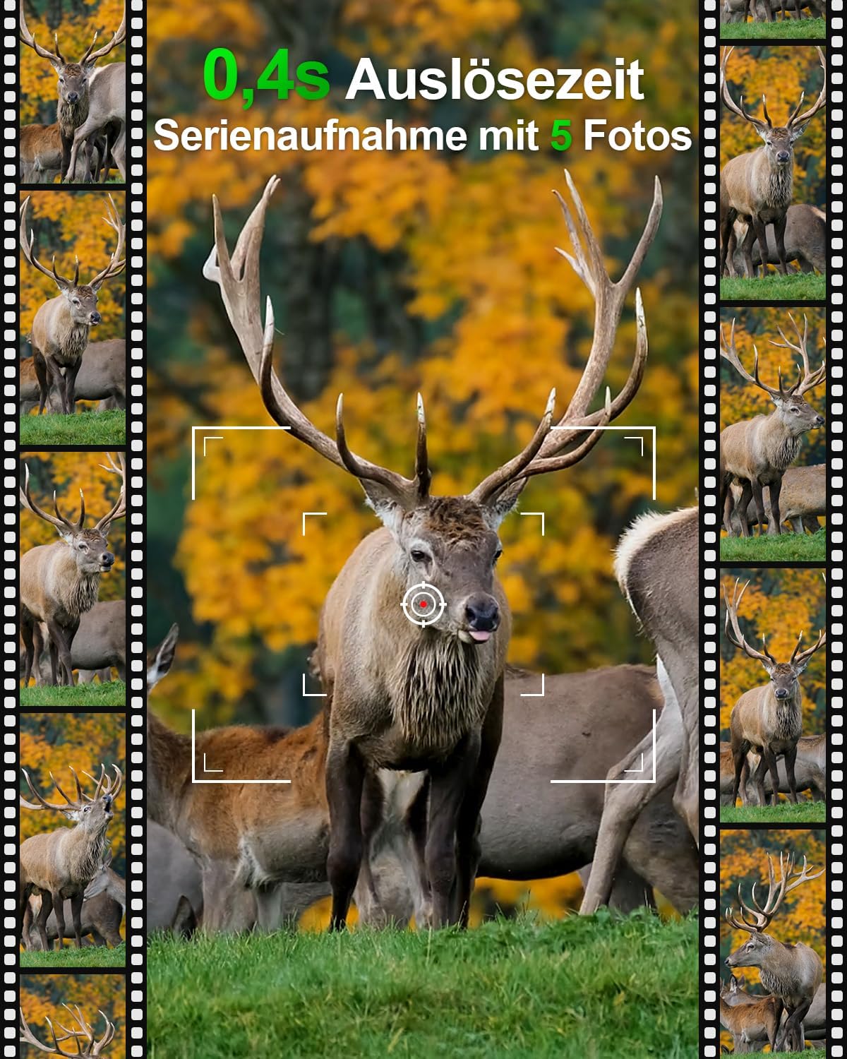 Wildkamera 4K mit WiFi und Nachtsicht, Wildkamera 4K Wifi