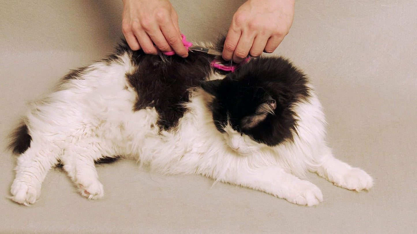 Silent Pet Grooming Kit, 16 Stück Rechtshändig Blau