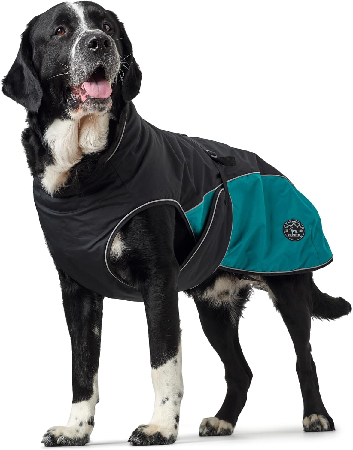 Hundemantel Uppsala Allrounder, 35 anthrazit/petrol