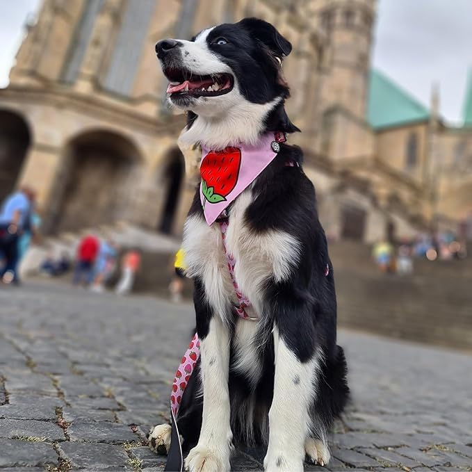 Neopren Hundegeschirr, XS Strawberry Dream