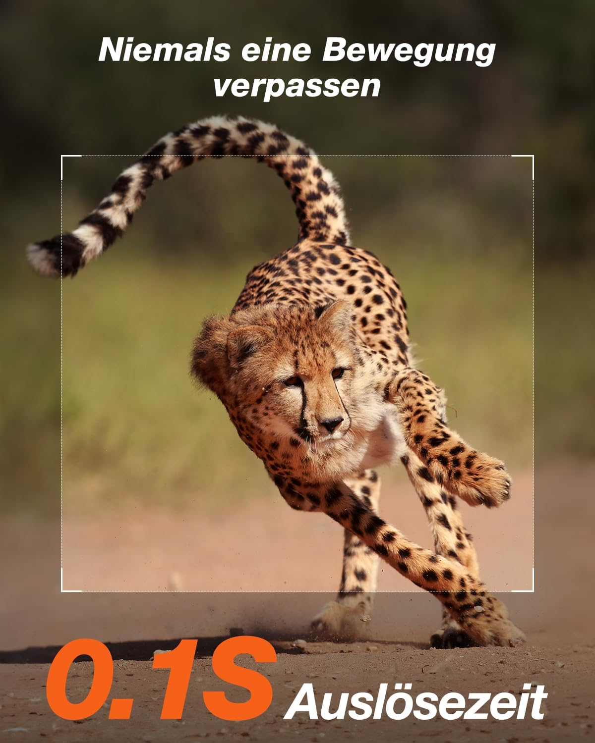 4K Wildkamera mit Nachtsicht & Bewegungsmelder, Getarnt