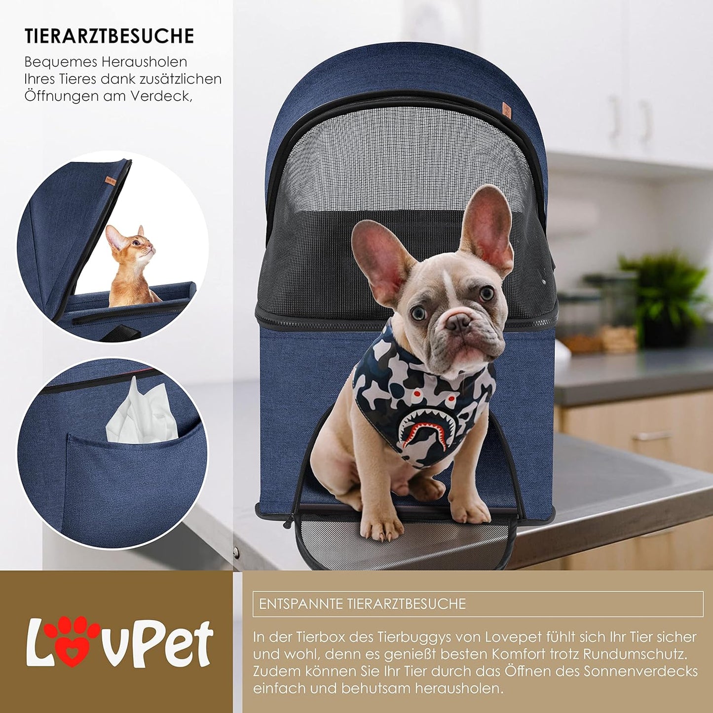 Hundewagen, Blau
