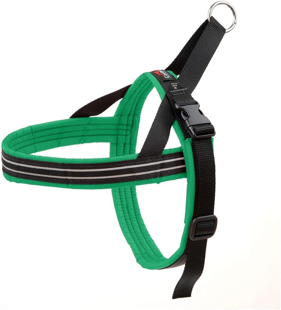 Reflektierendes Brustgeschirr für Hundesport, Medium/Large / Kelly, grün