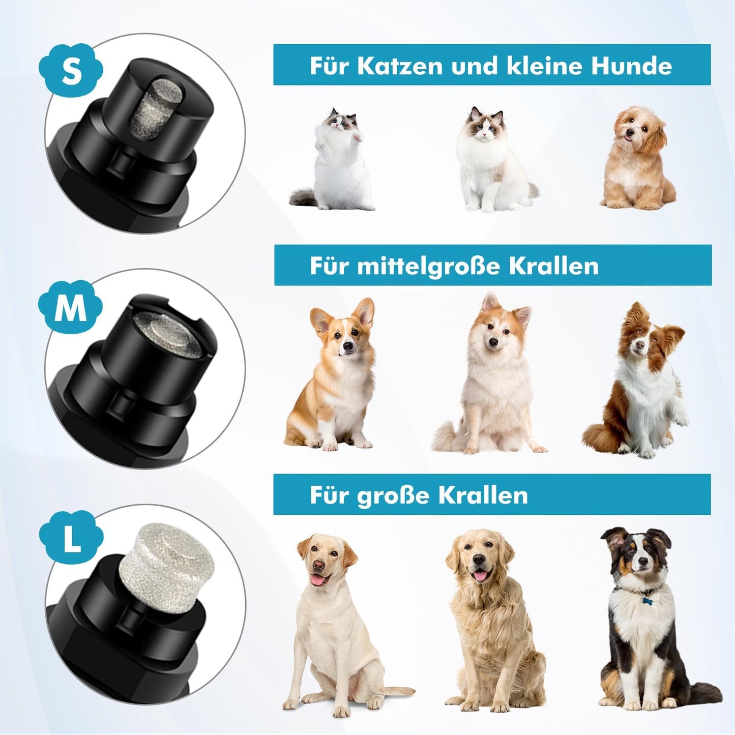 Profi Krallenschleifer-Set mit LED und Krallenschere