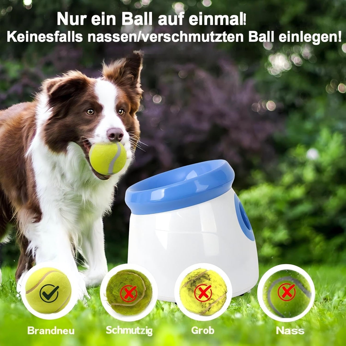 Automatischer Hunde-Ballwerfer mit 3 Tennisbällen, Klein Ballwerfer Blau