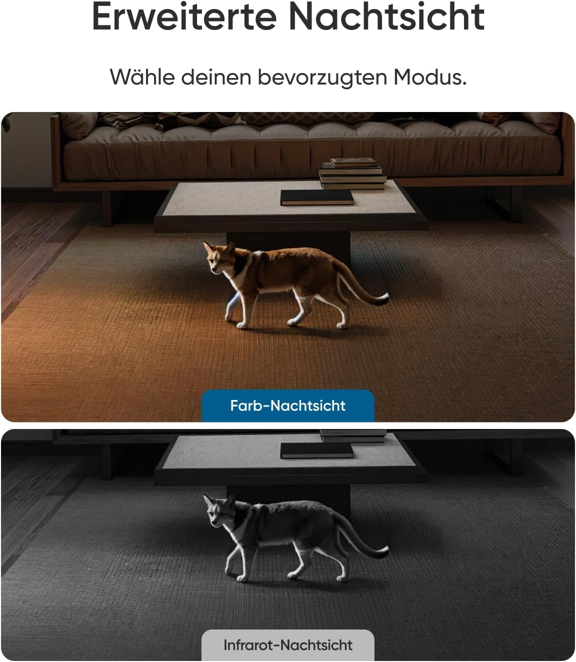 Innenkamera E30 mit 4K UHD und Auto-Tracking, 1 Stück
