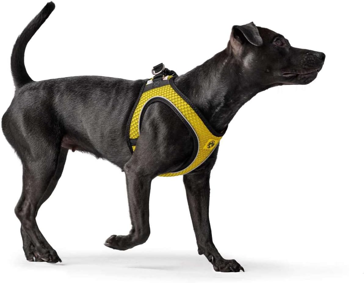 BVB Hundegeschirr, gelb, 58 - 65 cm