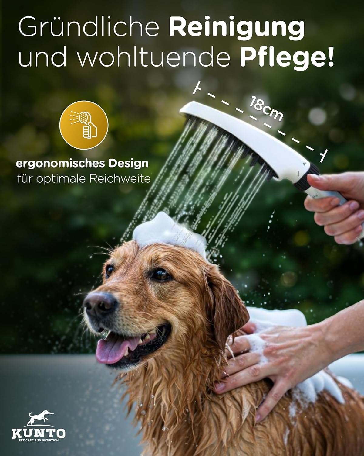 Hundebrausekopf, Weiß